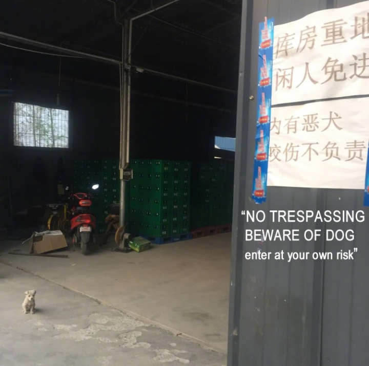 beware of dog sign near a puppy