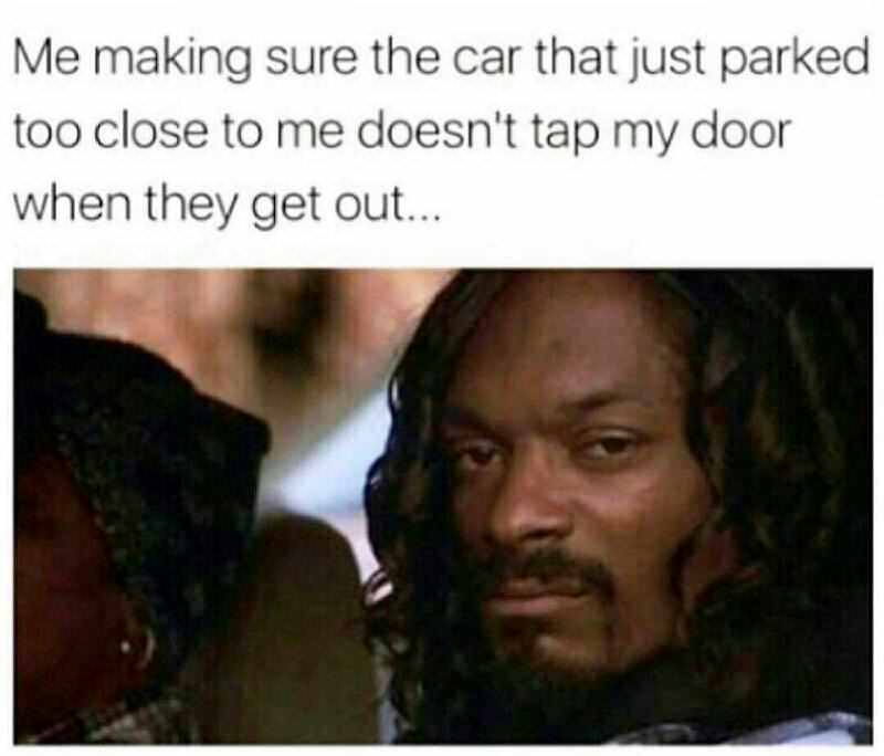 snoop dogg meme - Me making sure the car that just parked too close to me doesn't tap my door when they get out...