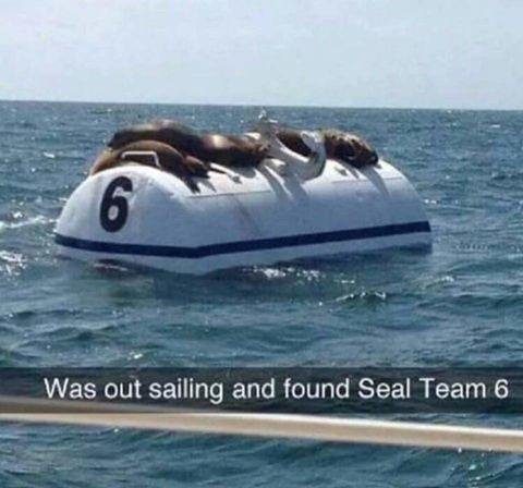 seal team six meme - Was out sailing and found Seal Team 6