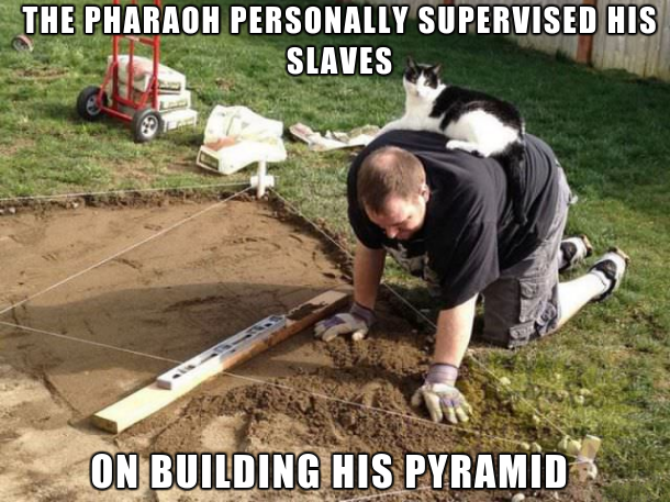 cat rule the world - The Pharaoh Personally Supervised His Slaves On Building His Pyramid