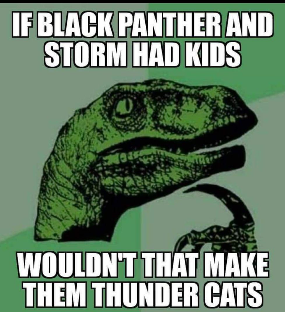 day of the dead memes - If Black Panther And Storm Had Kids Wouldn'T That Make Them Thunder Cats
