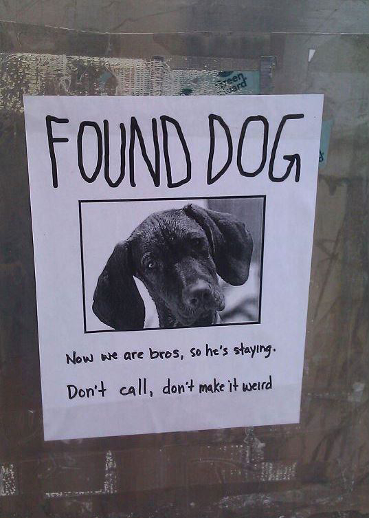 funny flyers - Original Found Dog Now we are bros, so he's staying. Don't call, don't make it weird