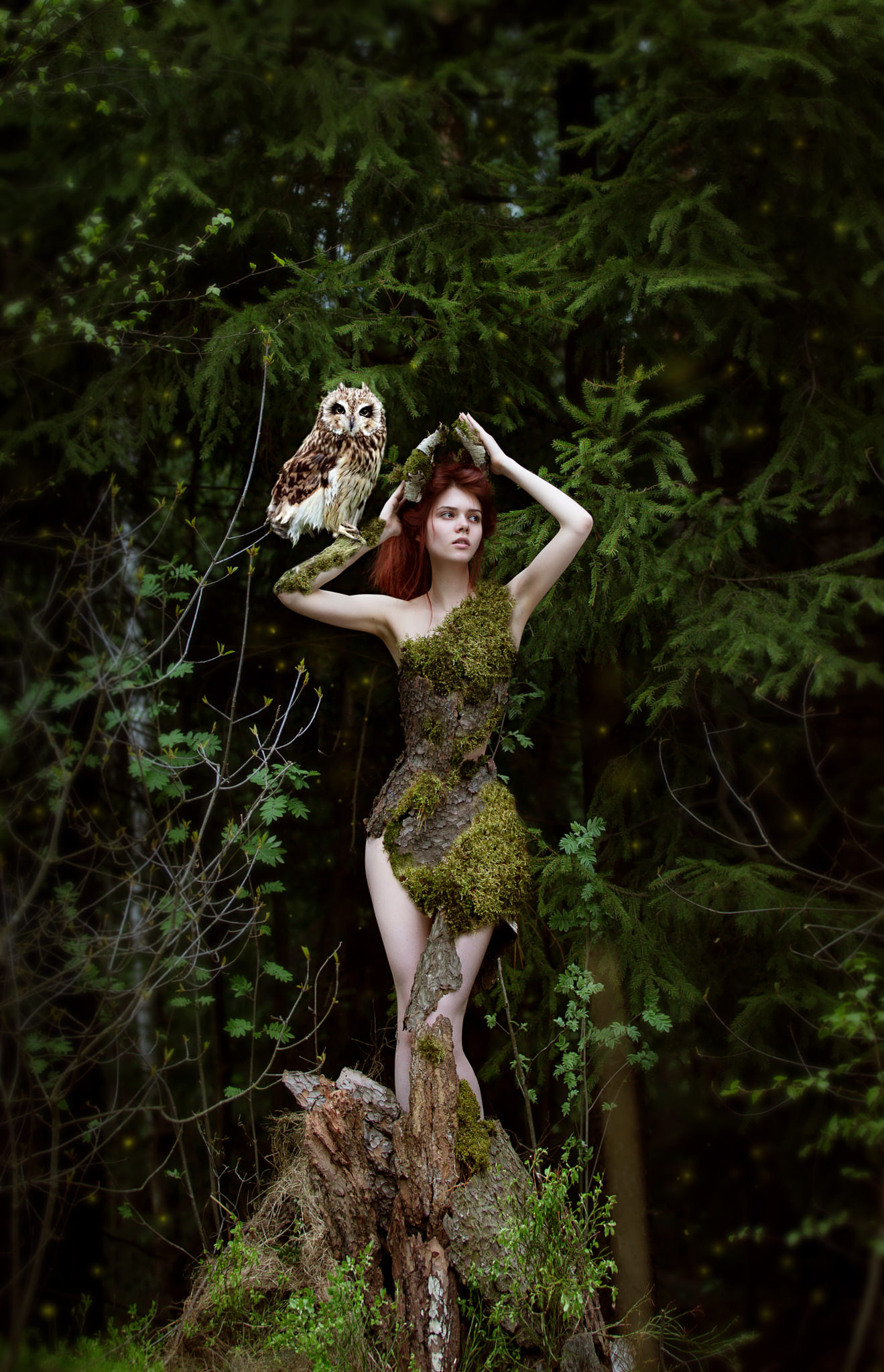 fairy forest myth.