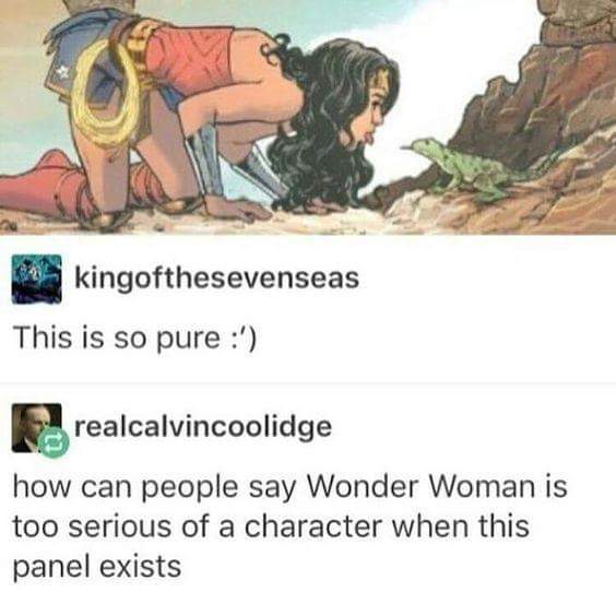 wonder woman and lizard - kingofthesevenseas This is so pure ' realcalvincoolidge how can people say Wonder Woman is too serious of a character when this panel exists