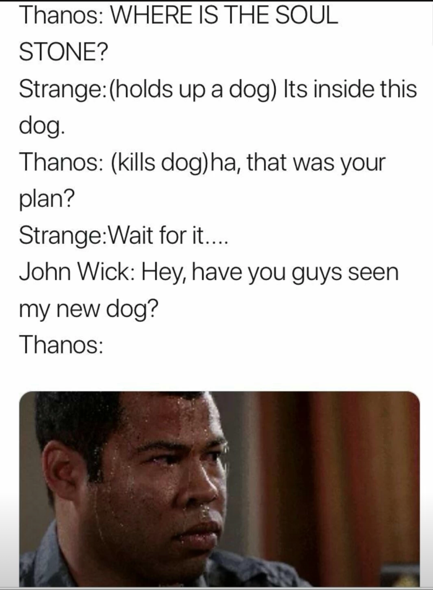 john wick dog meme thanos - Thanos Where Is The Soul Stone? Strangeholds up a dog Its inside this dog. Thanos kills dog ha, that was your plan? StrangeWait for it.... John Wick Hey, have you guys seen my new dog? Thanos