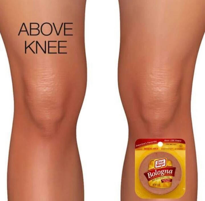 bologna knee - Above Knee Wellne Bologna