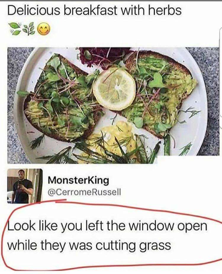 looks like you left the window open - Delicious breakfast with herbs Monsterking Look you left the window open while they was cutting grass