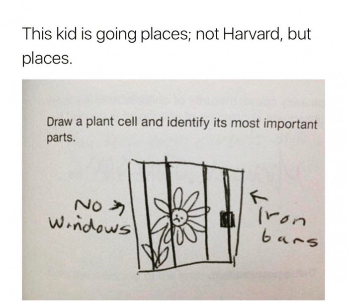 funny test answers plant cell - This kid is going places; not Harvard, but places. Draw a plant cell and identify its most important parts. No Windows ns