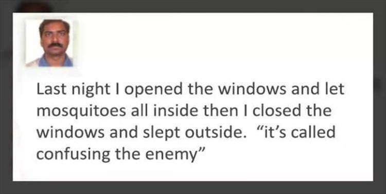 presentation - Last night I opened the windows and let mosquitoes all inside then I closed the windows and slept outside. "it's called confusing the enemy