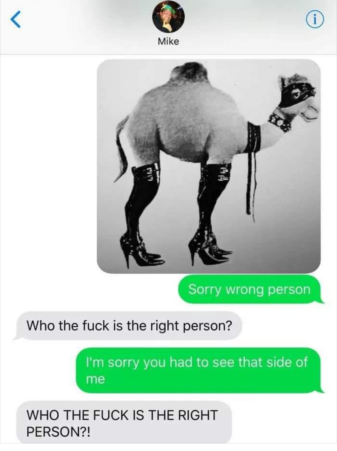 sorry wrong person meme - Mike Sorry wrong person Who the fuck is the right person? I'm sorry you had to see that side of me Who The Fuck Is The Right Person?!
