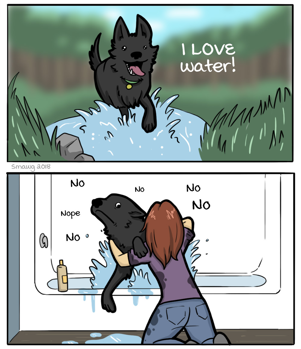 water dog oc - I Love water! Smawg 2018 No No No Nope
