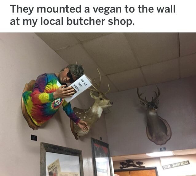 minecraft butcher shop - They mounted a vegan to the wall at my local butcher shop. Salad Menu Bar