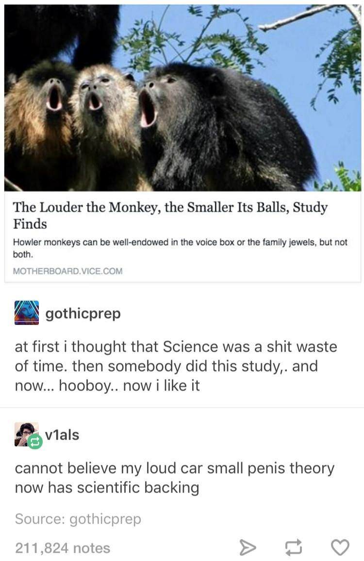 louder the monkey the smaller its balls - The Louder the Monkey, the Smaller Its Balls, Study Finds Howler monkeys can be wellendowed in the voice box or the family jewels, but not both. Motherboard. Vice.Com gothicprep at first i thought that Science was