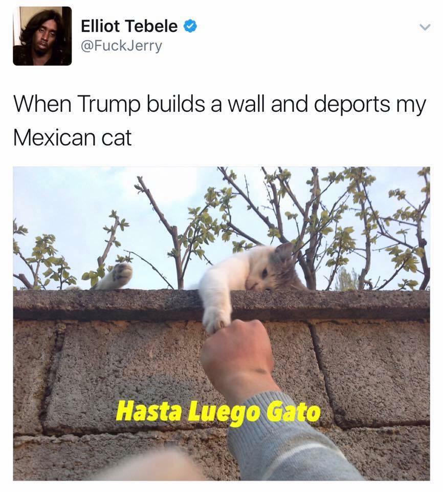 one person who is always there - Elliot Tebele Jerry When Trump builds a wall and deports my Mexican cat Hasta Luego Gato