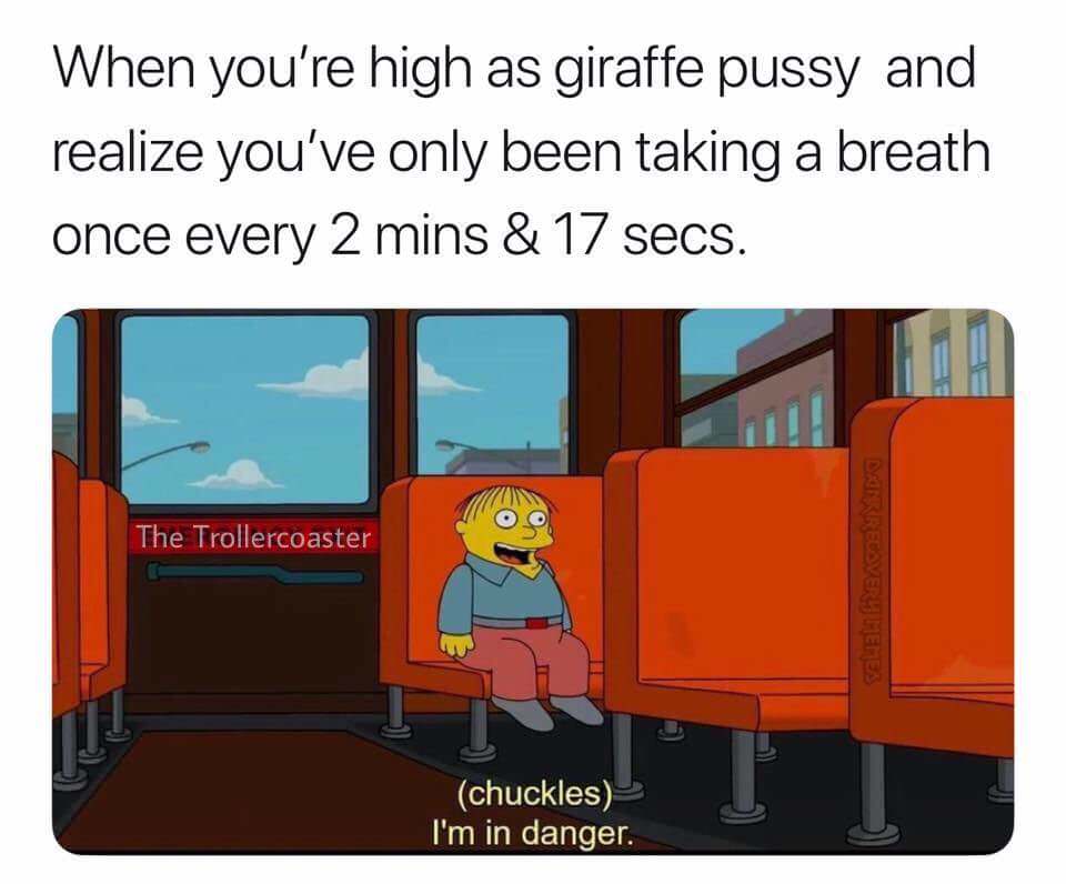 you re high as giraffe pussy - When you're high as giraffe pussy and realize you've only been taking a breath once every 2 mins & 17 secs. The Trollercoaster Deorrecovery Memes chuckles I'm in danger.