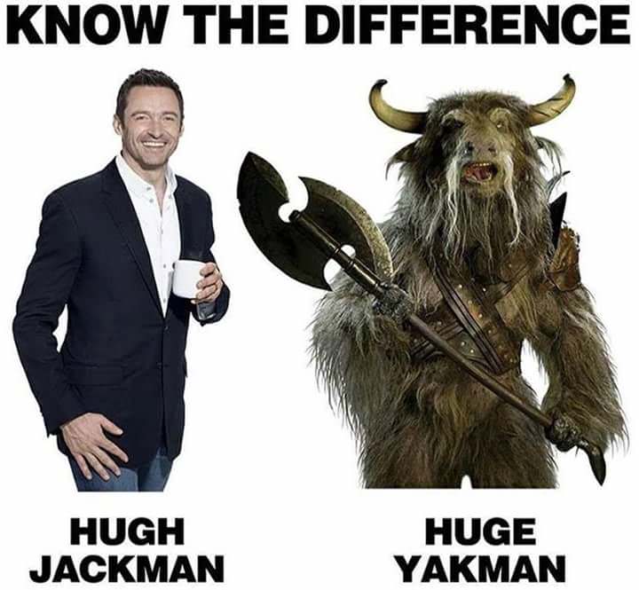 hugh jackman huge yakman - Know The Difference Hugh Jackman Huge Yakman