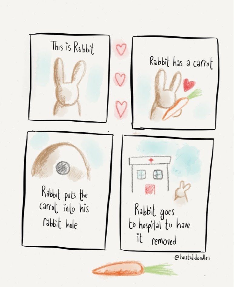 This is Rabbit Rabbit has a carrot Rabbit puts the Carrot into his rabbit hole Rabbit goes to hospital to have it removed doodles