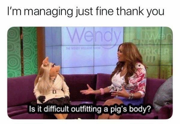 conversation - I'm managing just fine thank you Ko Is it difficult outfitting a pig's body?
