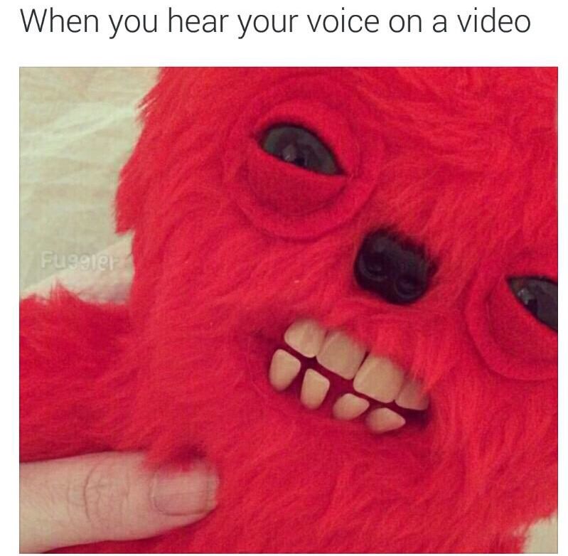 Humour - When you hear your voice on a video Fuegler