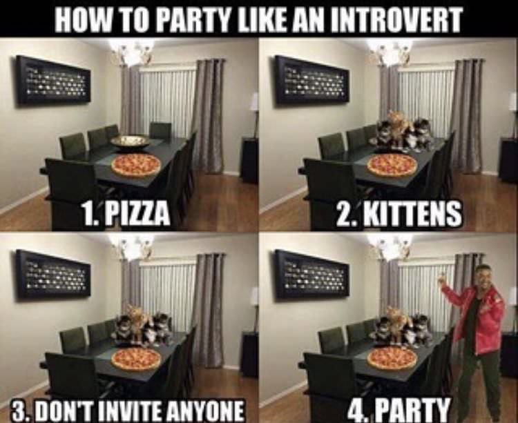 introvert party meme - How To Party An Introvert 1. Pizza 2. Kittens 3. Don'T Invite Anyone 4. Party