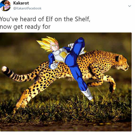 most agile animal in the world - Kakarot You've heard of Elf on the Shelf, now get ready for