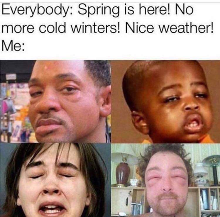 spring allergy meme - Everybody Spring is here! No more cold winters! Nice weather! Me