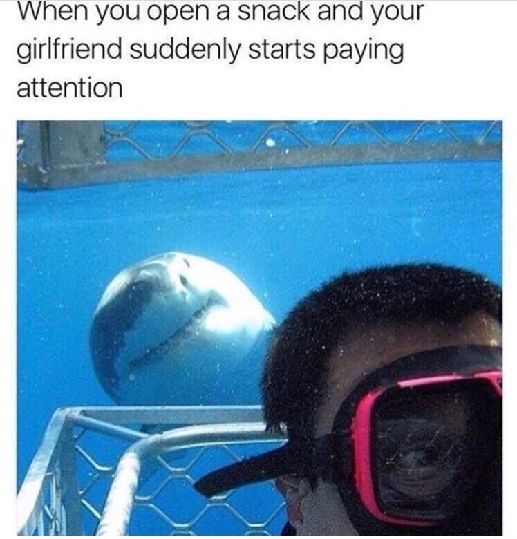 shark girlfriend meme - When you open a snack and your girlfriend suddenly starts paying attention