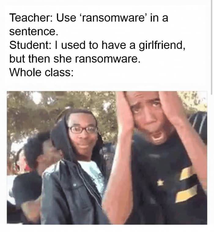 de cheetah is faster dandelion - Teacher Use 'ransomware' in a sentence. Student I used to have a girlfriend, but then she ransomware. Whole class