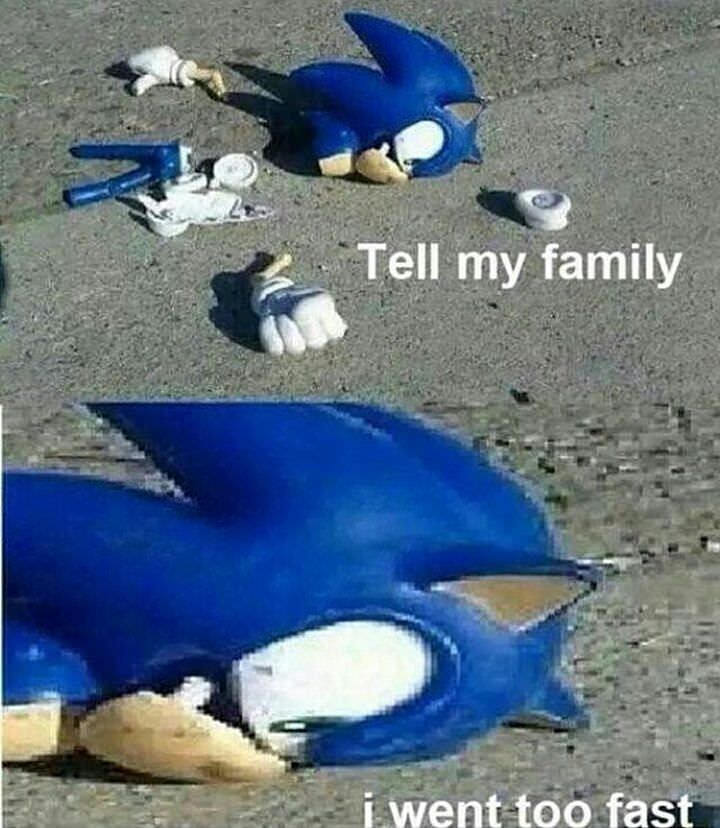 sonic went too fast - Tell my family i went too fast
