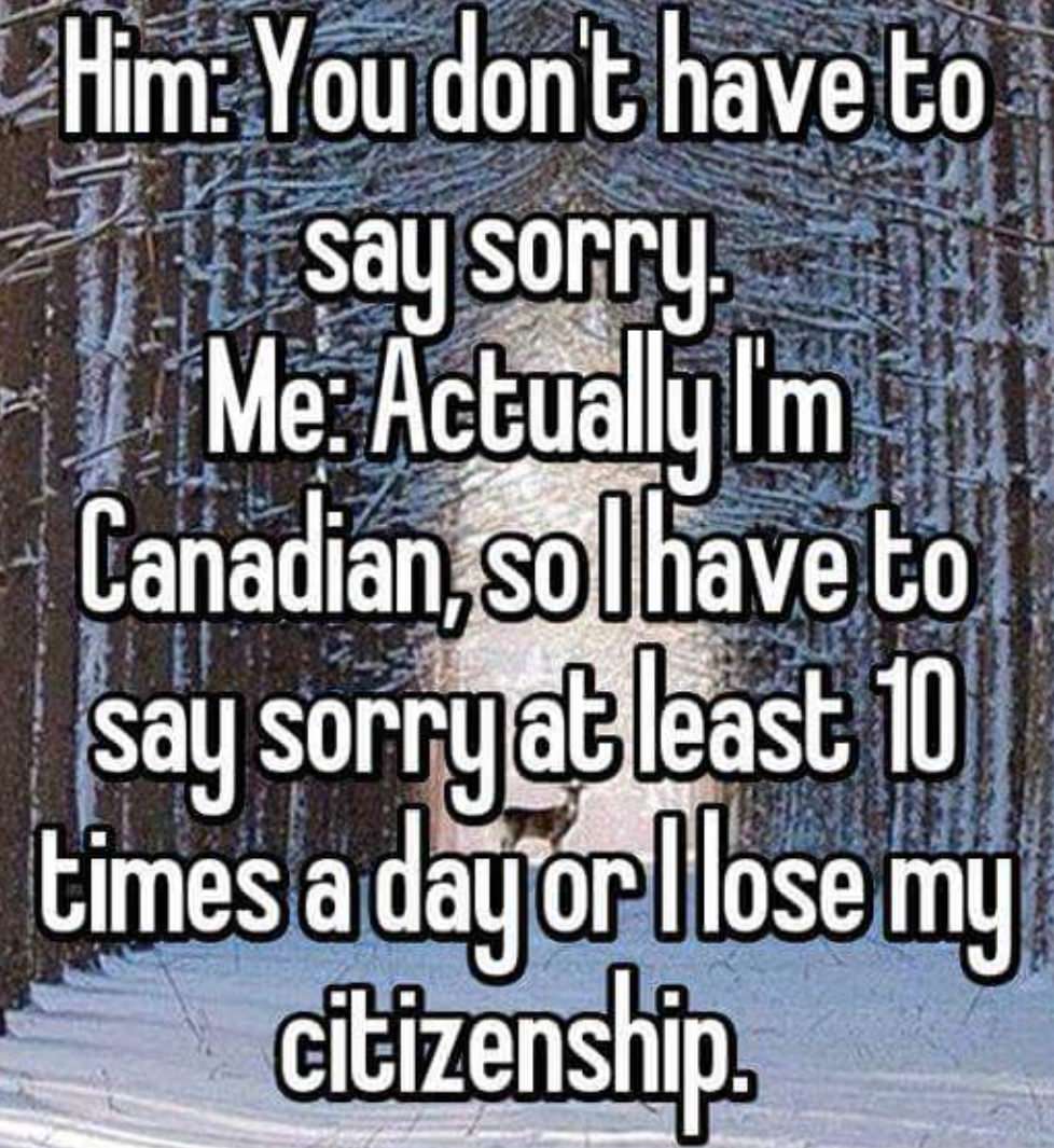 canadian sorry meme - Him You dont have to say sorry. Me Actually I'm Canadian, sol have to say sorryat least 10 times a day or llose my citizenship