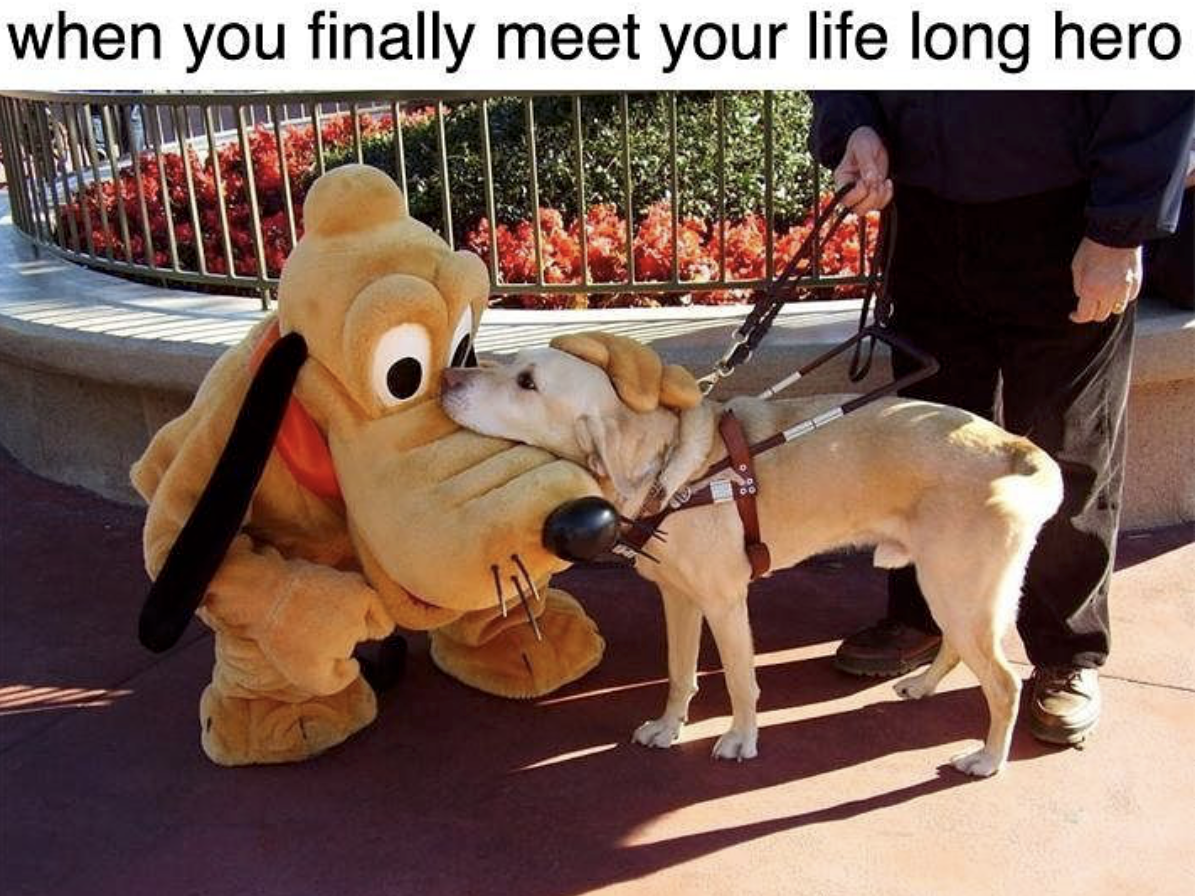 50 Great Pics And Memes to Improve Your Mood