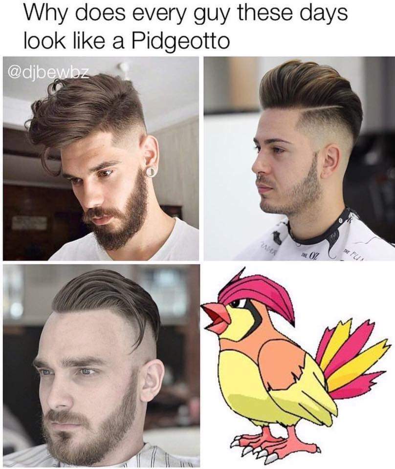 pokemon pidgeotto - Why does every guy these days look a Pidgeotto Ya The Oz