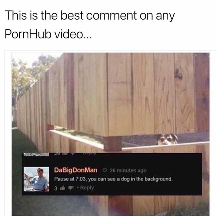 porn comment memes - This is the best comment on any PornHub video... DaBigDonMan 26 minutes ago Pause at . you can see a dog in the background, 3 et