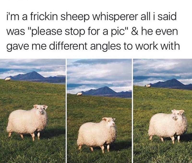 43 Great Pics And Memes to Improve Your Mood