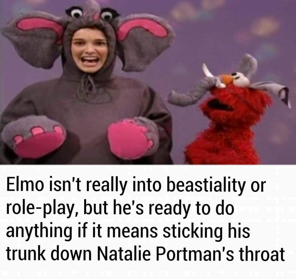 memedroid elmo memes - Elmo isn't really into beastiality or roleplay, but he's ready to do anything if it means sticking his trunk down Natalie Portman's throat