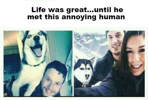 we were very happy until the day she appeared - Life was great...until he met this annoying human