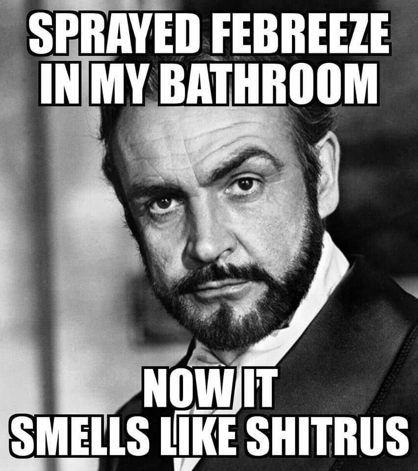 smells like shitrus - Sprayed Febreeze In My Bathroom Now It Smells Shitrus