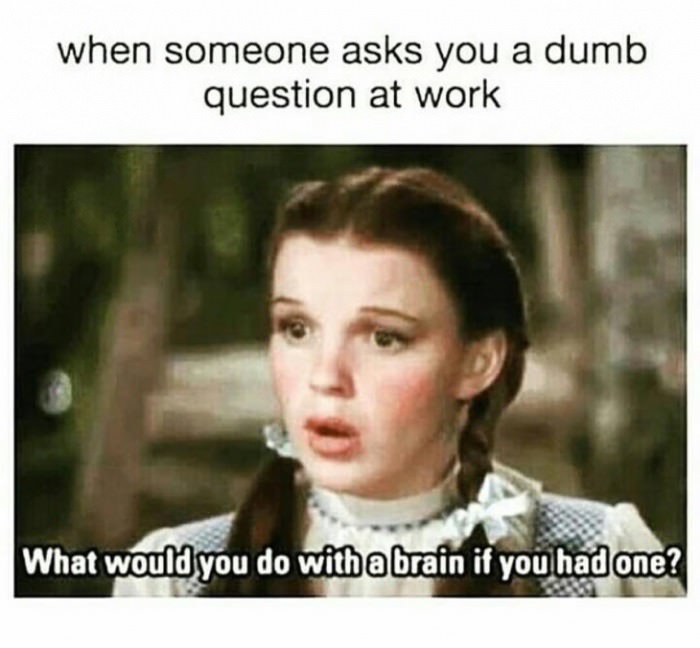 asking stupid questions at work - when someone asks you a dumb question at work What would you do with a brain if you had one?