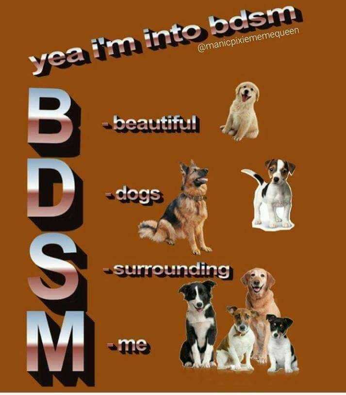 bdsm big dogs - yea i'm into bdsm beautiful dogs Mque surrounding me