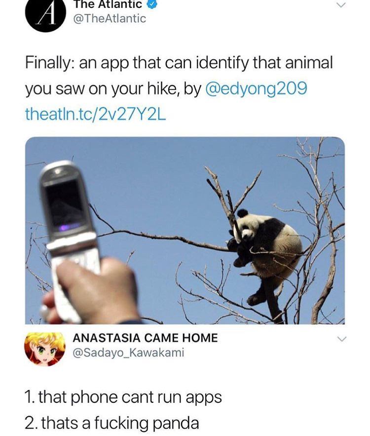finally an app that can identify that animal you saw on your hike - The Atlantic A Finally an app that can identify that animal you saw on your hike, by theatin.tc2v27Y2L Anastasia Came Home 1. that phone cant run apps 2. thats a fucking panda