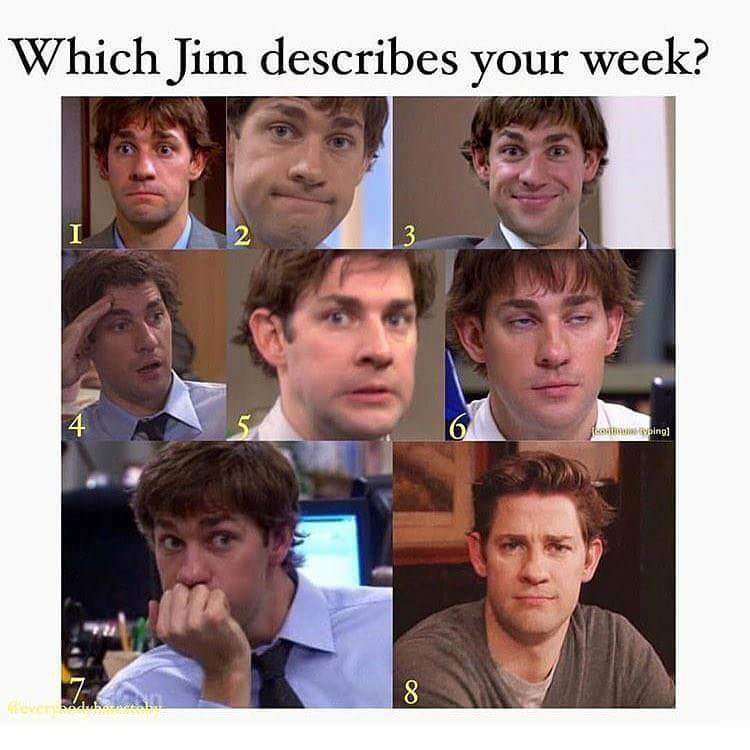 jim halpert - Which Jim describes your week? le p ing