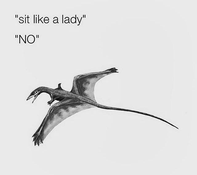 sit like a lady dinosaur - "sit a lady" "No"