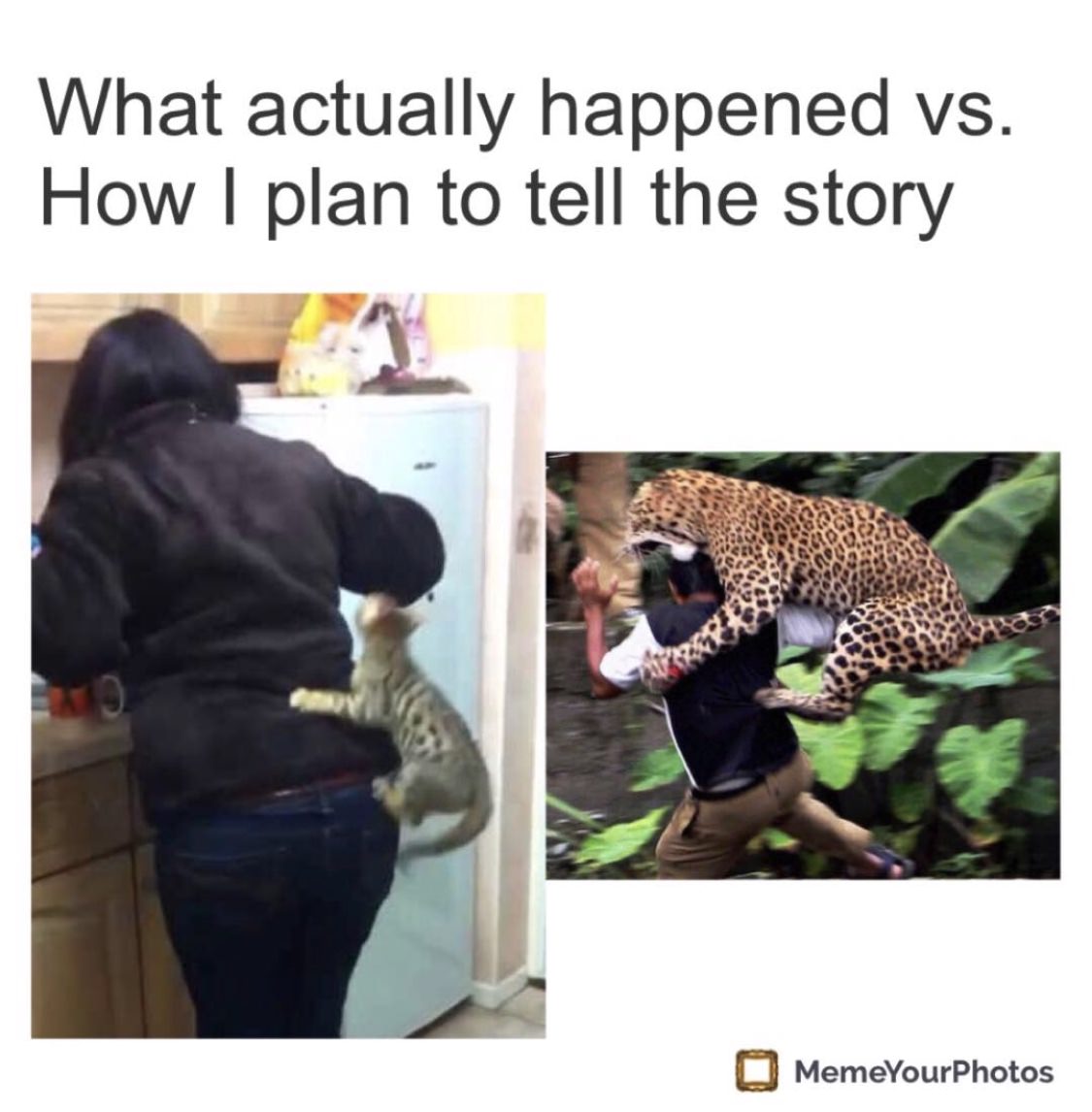leopard print meme - What actually happened vs. How I plan to tell the story MemeYourPhotos