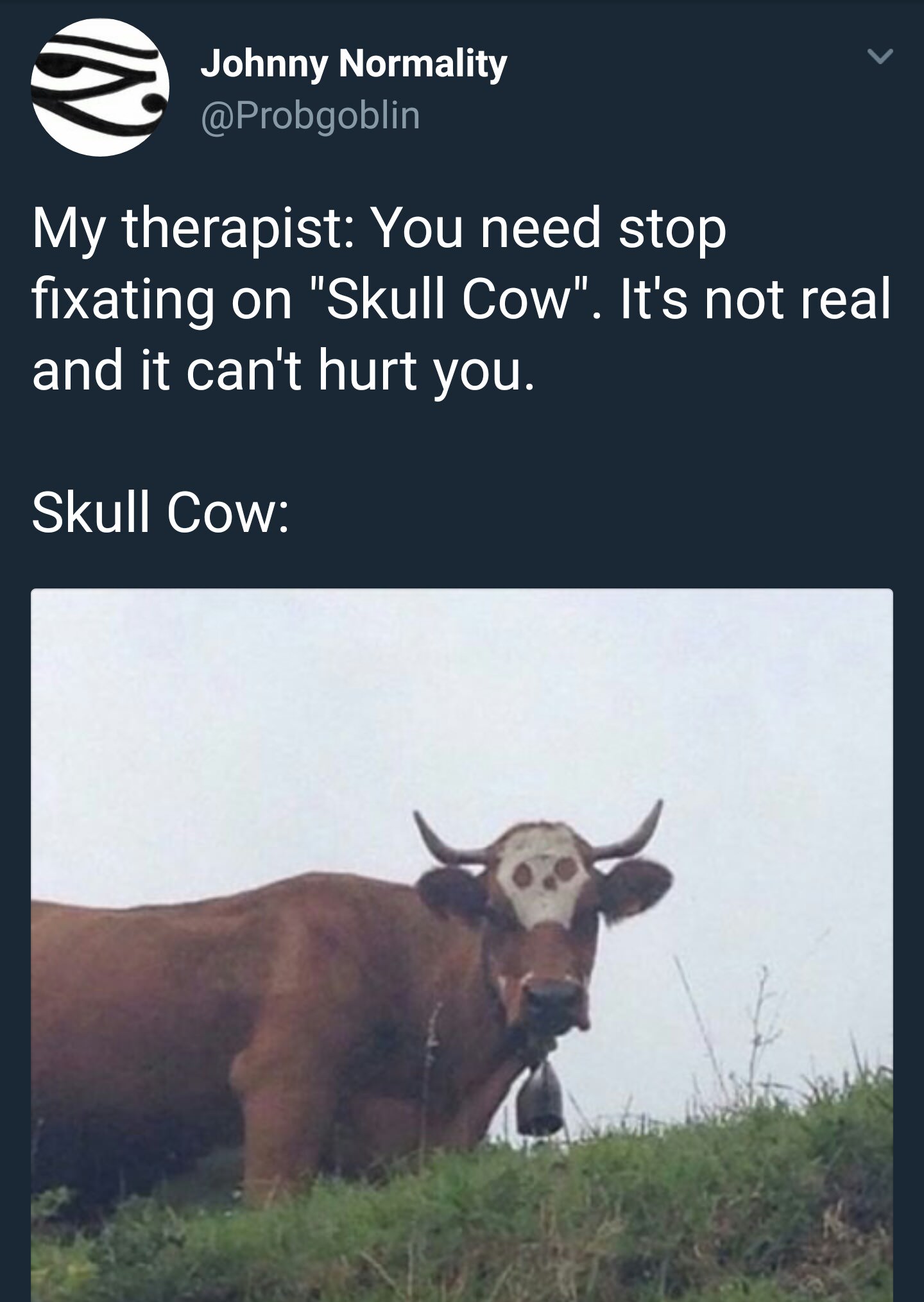 cow memes - Johnny Normality My therapist You need stop fixating on "Skull Cow". It's not real and it can't hurt you. Skull Cow