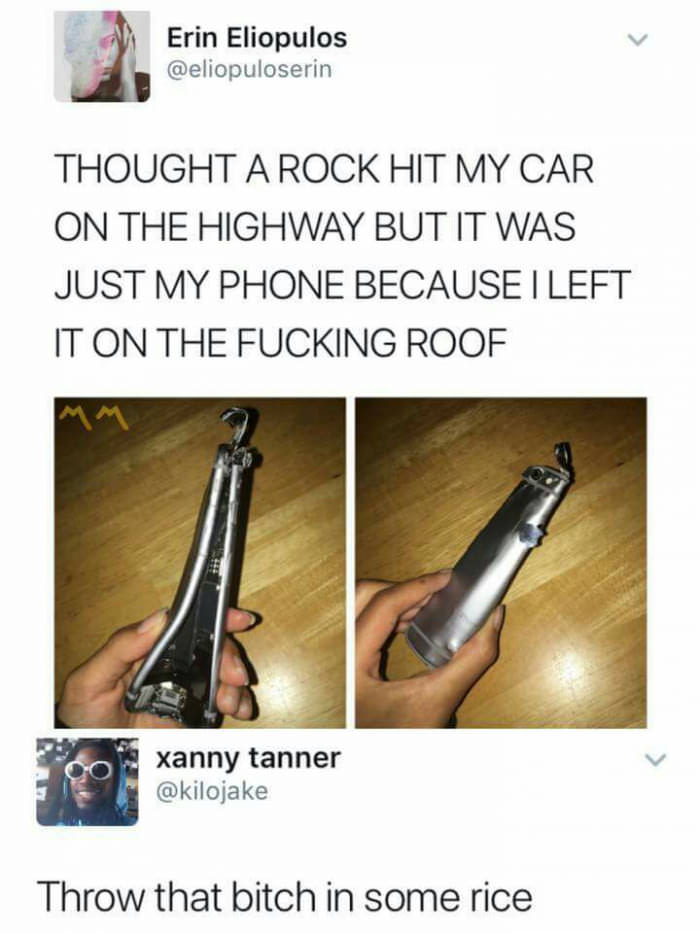 put it in rice meme - Erin Eliopulos Thought A Rock Hit My Car On The Highway But It Was Just My Phone Because I Left It On The Fucking Roof xanny tanner Throw that bitch in some rice