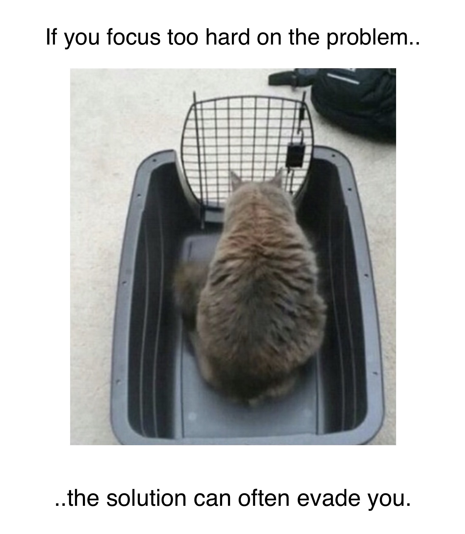 if you only focus on the problem you might miss the easy solution - If you focus too hard on the problem.. ..the solution can often evade you.