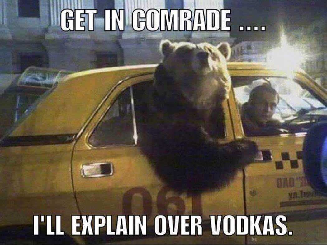 bear in a taxi - Get In Comrade I'Ll Explain Over Vodkas.