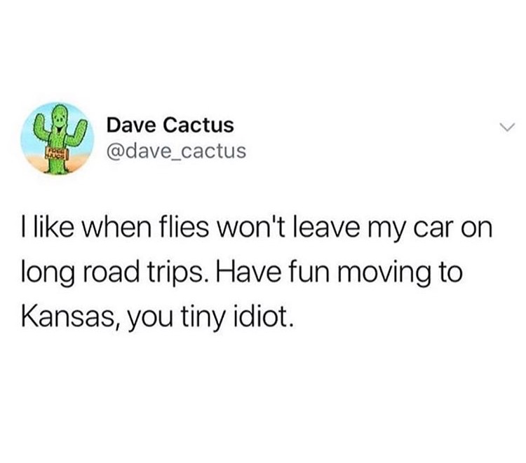 venmo some titty - e Dave Cactus I when flies won't leave my car on long road trips. Have fun moving to Kansas, you tiny idiot.