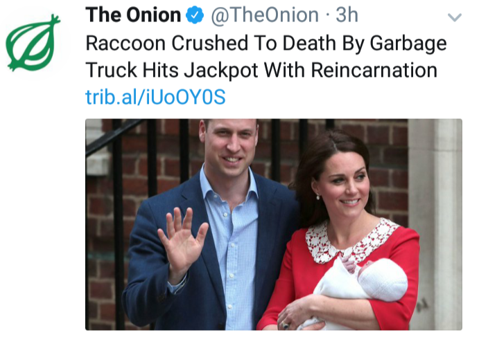 kate and williams baby - The Onion 3h Raccoon Crushed To Death By Garbage Truck Hits Jackpot With Reincarnation trib.aliUoOYOS