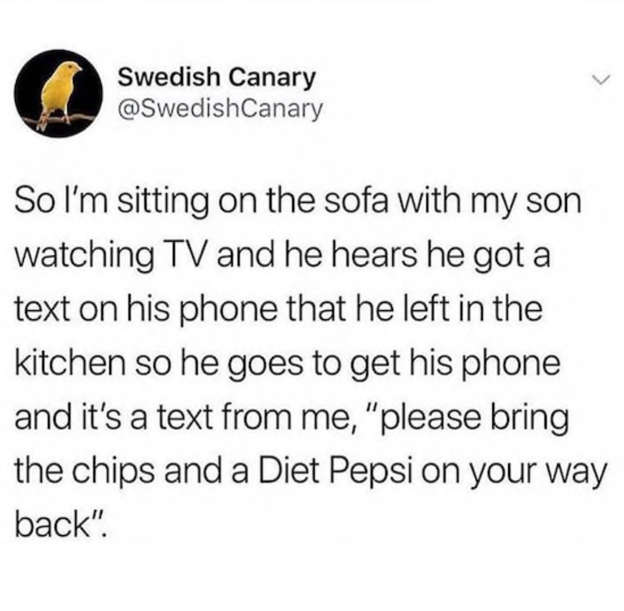 feel like im getting bad again - Swedish Canary So I'm sitting on the sofa with my son watching Tv and he hears he got a text on his phone that he left in the kitchen so he goes to get his phone and it's a text from me, "please bring the chips and a Diet 